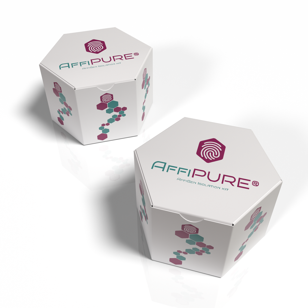 AffiPURE®​ Plant Genomic DNA Purification Kit