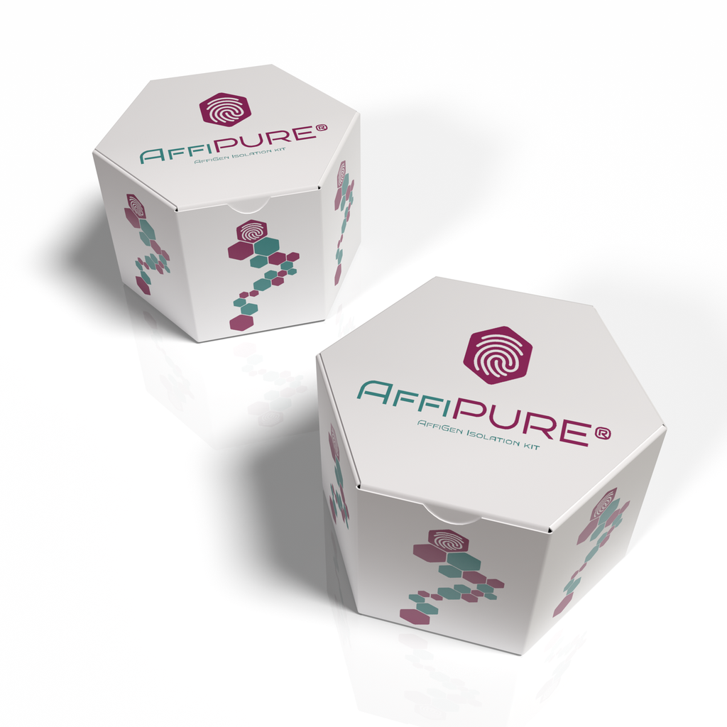 AffiPURE® Gel DNA Purification Mini Kit-PCR Clean Kit- 500