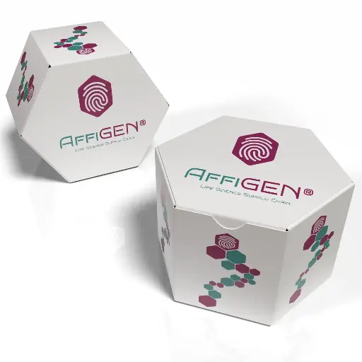 [AFG-SMX-0002] AffiGEN® IKVAV peptide : H‑IKVAVGKKG-[K(N3)]‑OH, Purity >95% , TFA salt , 10 AA
